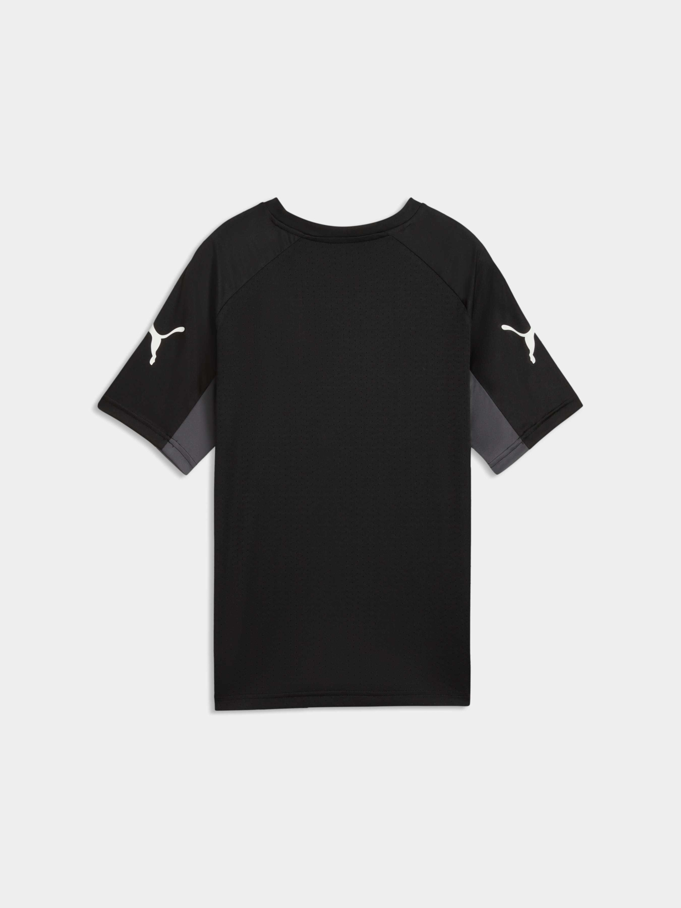 Спортивная футболка PUMA Individualligajersey Jr модель 660582 Спортивная футболка PUMA Individualligajersey Jr модель 660582 Фото