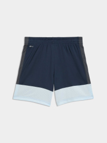 Детские шорты IndividualLIGA Football Training Shorts Youth модель 660575 Детские шорты IndividualLIGA Football Training Shorts Youth модель 660575 Фото