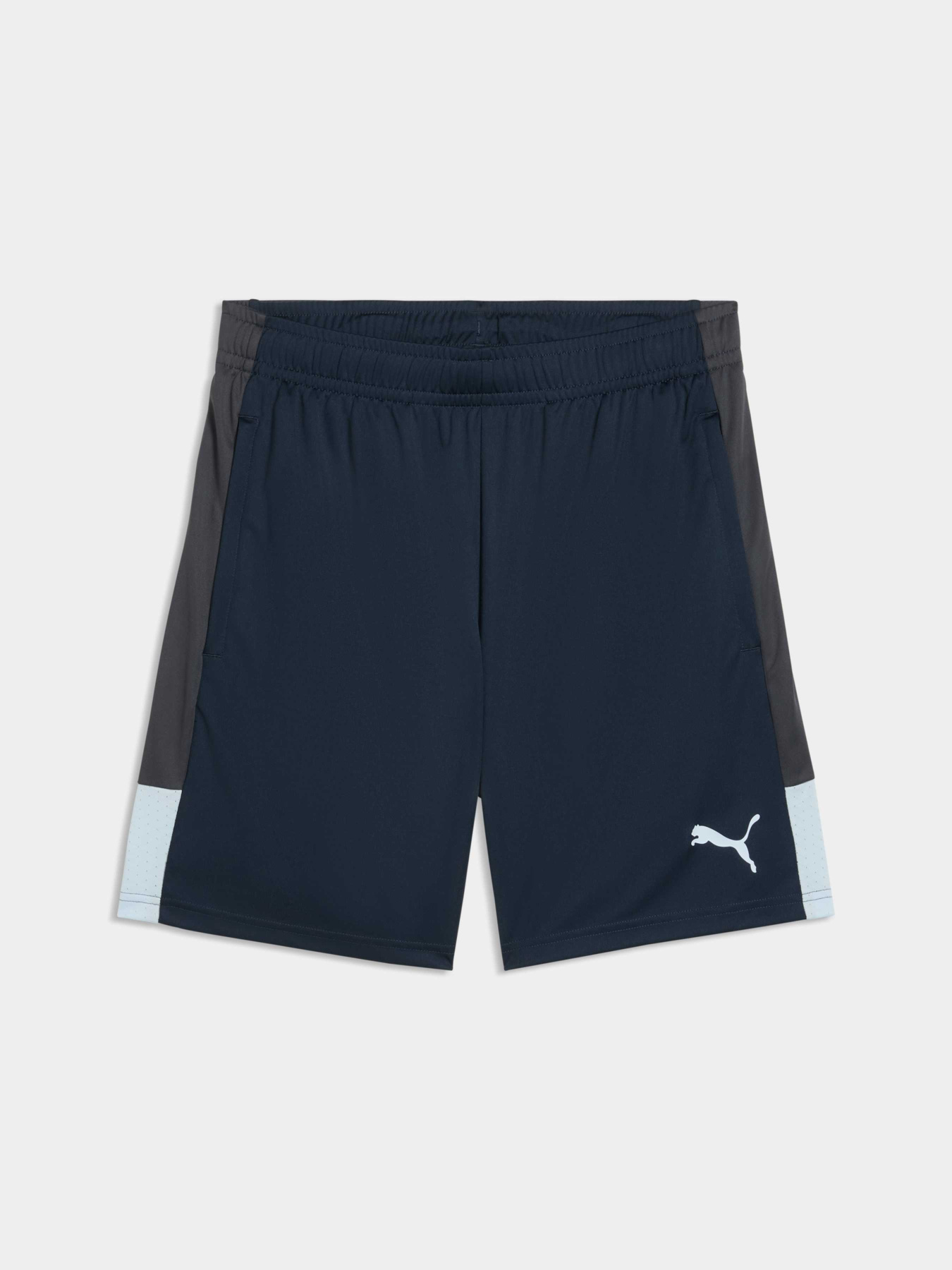 Шорты IndividualLIGA Training Shorts Men модель 660574 Фото