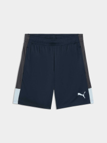 Шорты IndividualLIGA Training Shorts Men модель 660574 Фото