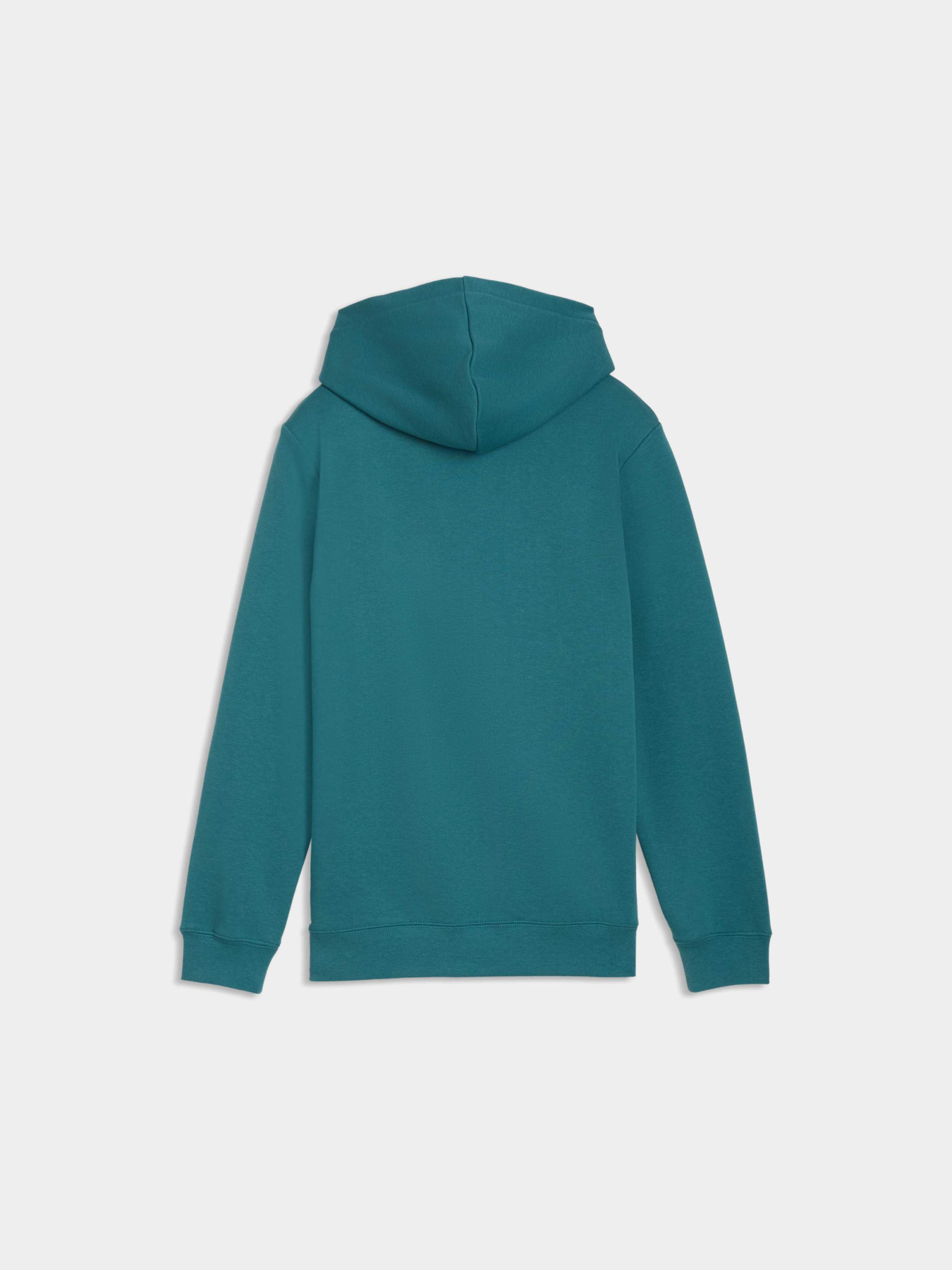 Худи PUMA Ess No. 1 Logo Hoodie Tr модель 684909 Фото