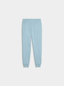 Штаны спортивные PUMA Ess Elevated Sweatpants модель 691858 Штаны спортивные PUMA Ess Elevated Sweatpants модель 691858 Фото