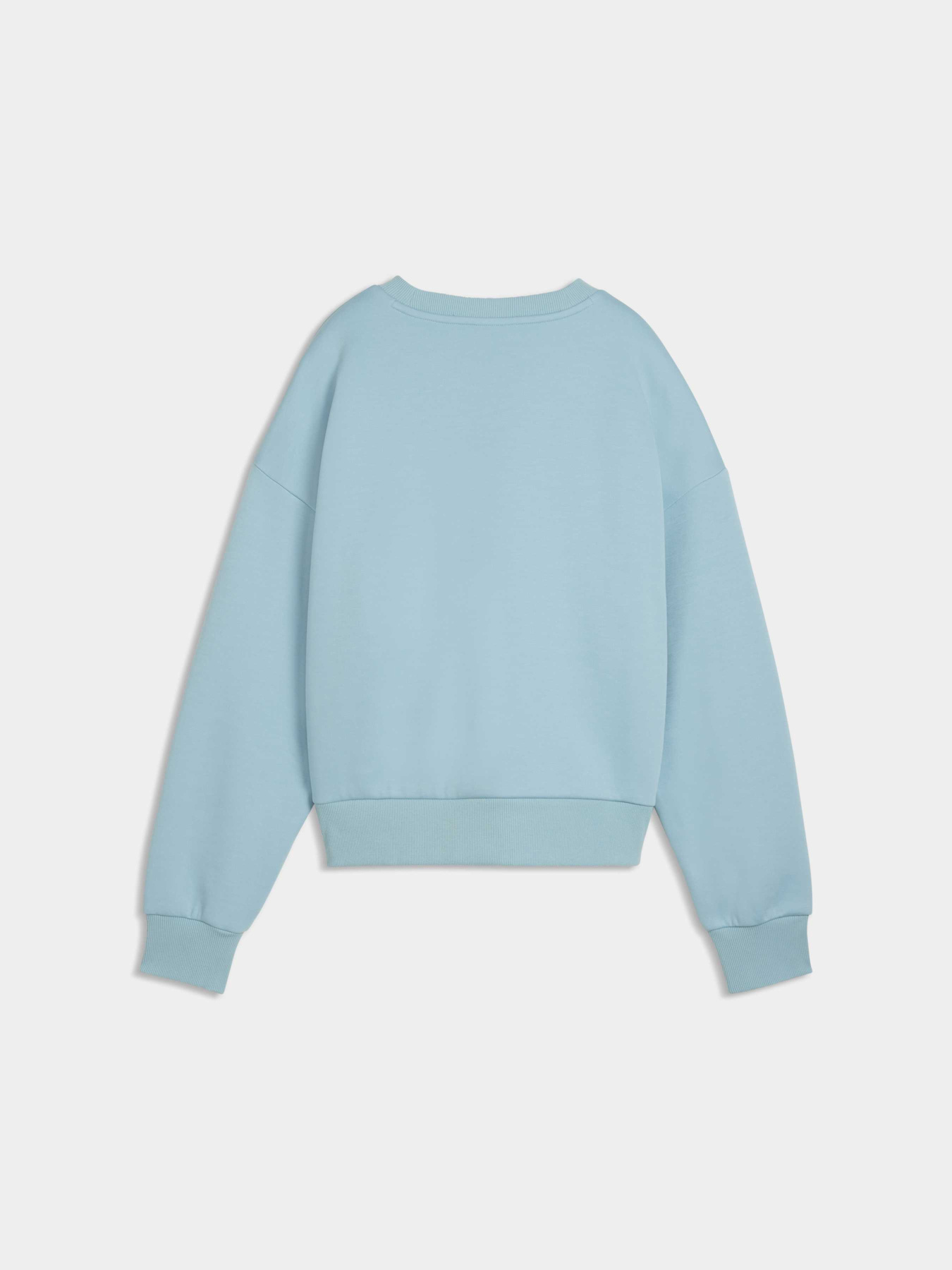 Світшот Essentials Elevated Logo Sweatshirt Women модель 634578 Фото