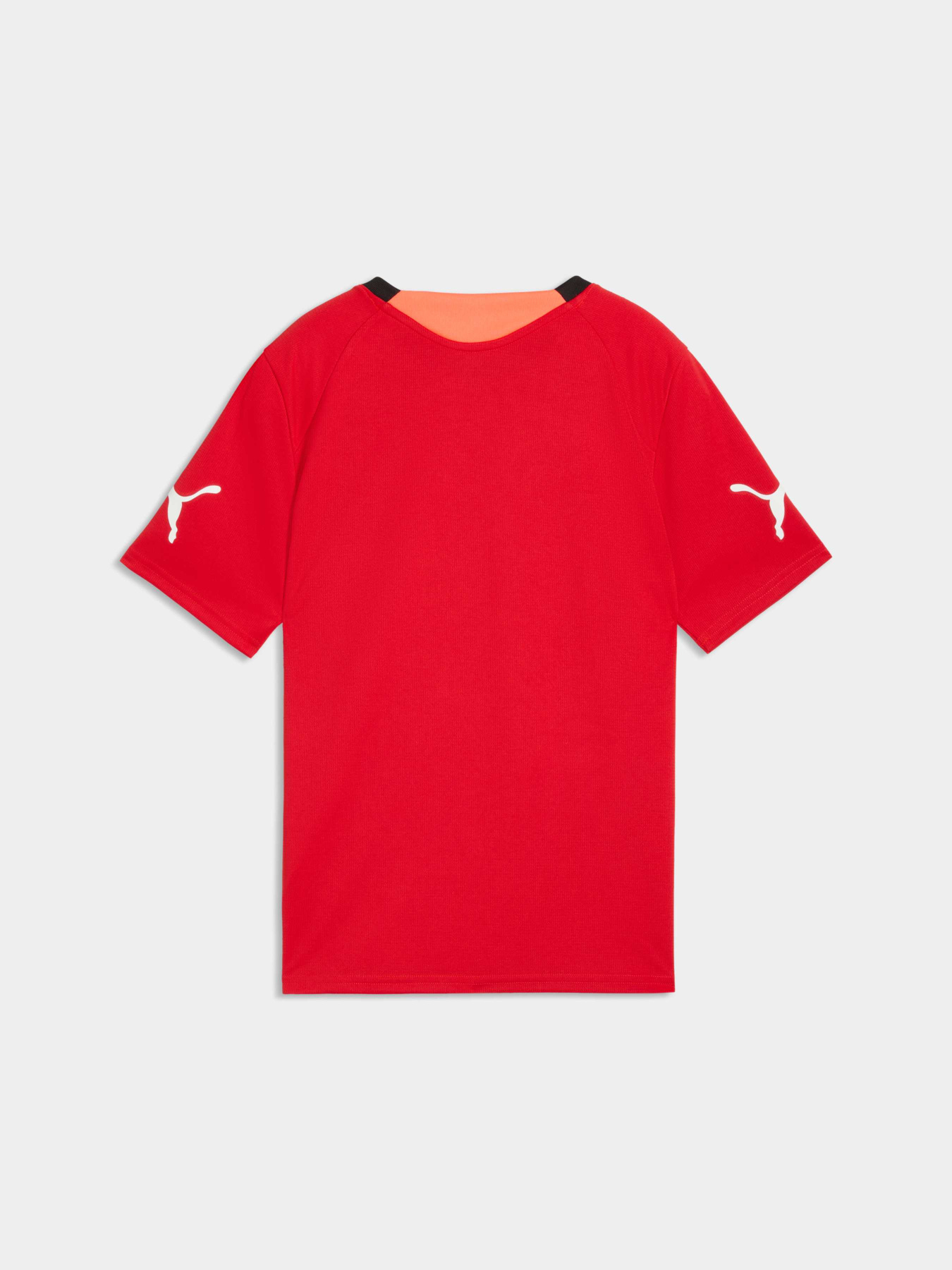 Футболки и поло PUMA Individualfinal Jersey Jr модель 660425 Фото