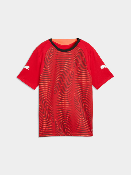 Спортивная футболка PUMA Individualfinal Jersey Jr модель 660425 Фото