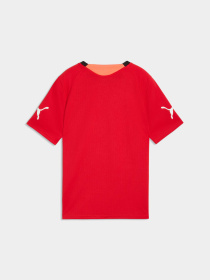 Футболки и поло PUMA Individualfinal Jersey Jr модель 660425 Фото