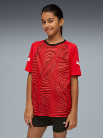 Футболки и поло PUMA Individualfinal Jersey Jr модель 660425 Фото