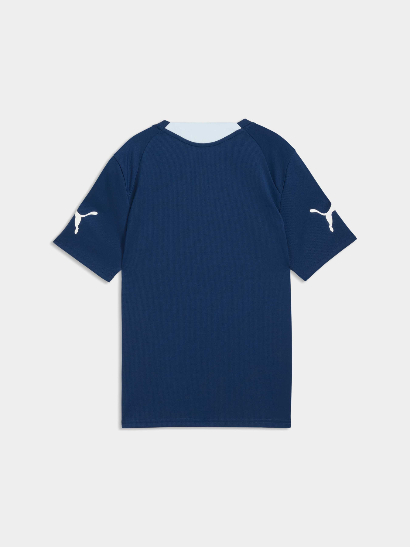 Спортивная футболка PUMA Individualfinal Jersey Jr модель 660425 Фото