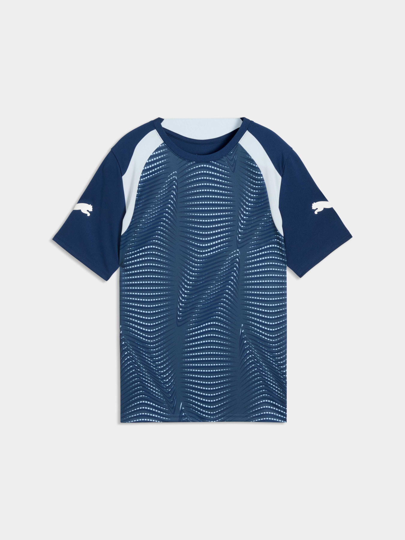 Спортивная футболка PUMA Individualfinal Jersey Jr модель 660425 Фото