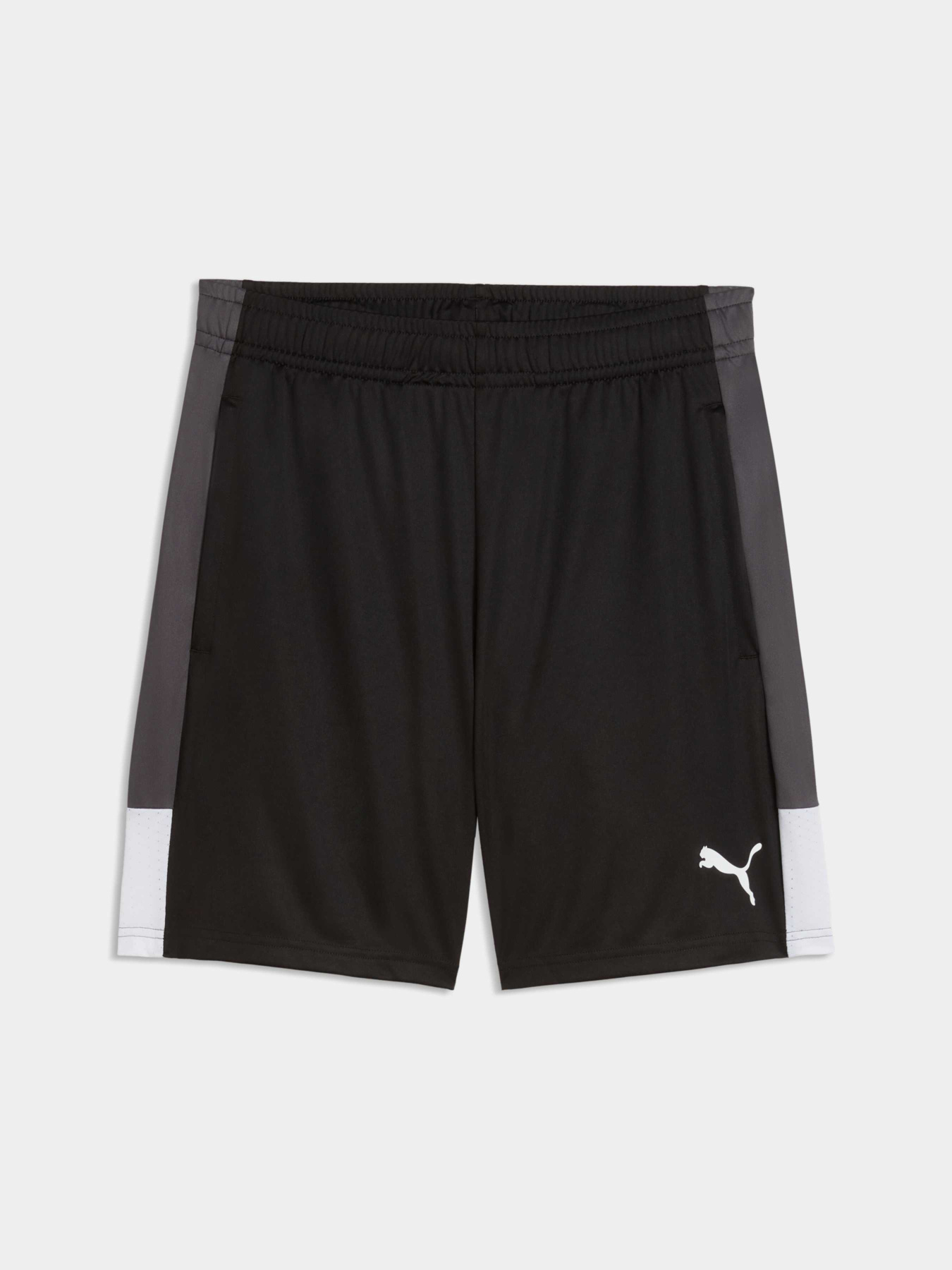 Шорты IndividualLIGA Training Shorts Men модель 660574 Фото