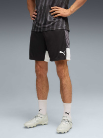 Шорты IndividualLIGA Training Shorts Men модель 660574 Шорты IndividualLIGA Training Shorts Men модель 660574 Фото