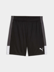 Шорты IndividualLIGA Training Shorts Men модель 660574 Фото