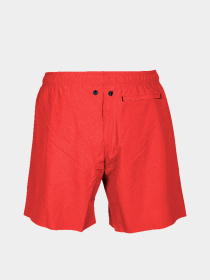 Чоловічі плавальні шорти Arena EVO BEACH BOXER SO модель 006060-405 Фото