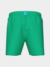 Чоловічі плавальні шорти Arena FUNDAMENTALS LOGO BOXER модель 006444-690 Фото