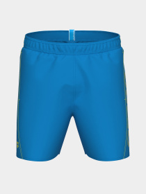 Чоловічі плавальні шорти Arena FUNDAMENTALS LOGO BOXER модель 006444-861 Фото