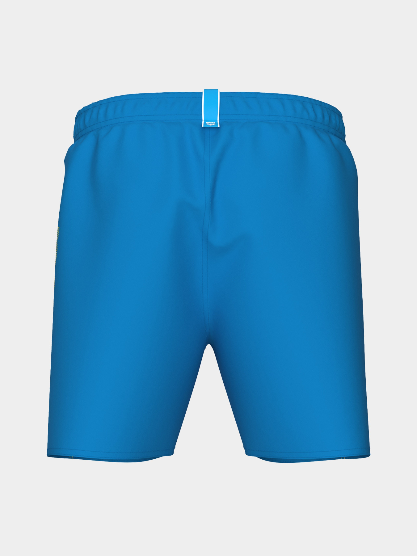Шорты для плавания Arena модель 006444-861 Фото