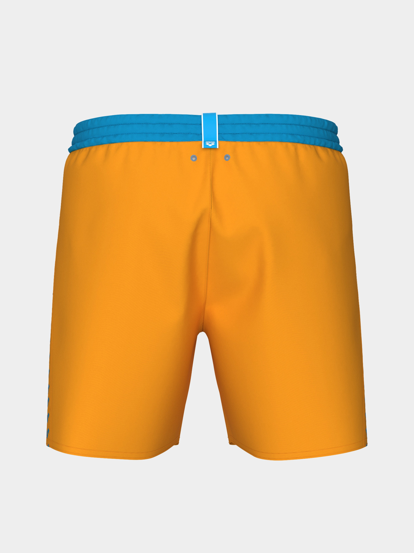 Шорты для плавания Arena модель 008931-380 Фото