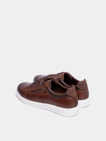 Кеди низькі Forelli модель 39501-Brown Фото