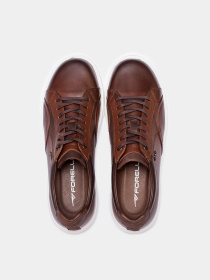 Кеди низькі Forelli модель 39501-Brown Фото