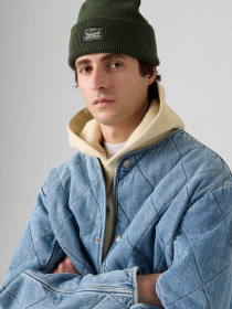 Шапка Levi's модель 000J4;0016 Фото