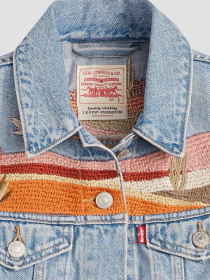 Жилетка LEVIS модель 002A7;0000 Фото