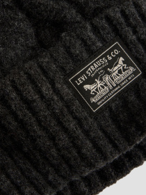 Шапка LEVIS модель 004D4;0000 Фото