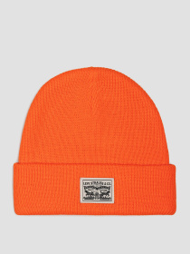 Шапка Levi's модель 235990;11.110 Фото