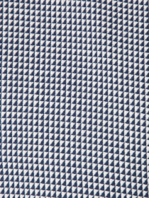 Рубашка Arber модель AO05.05.30 Фото