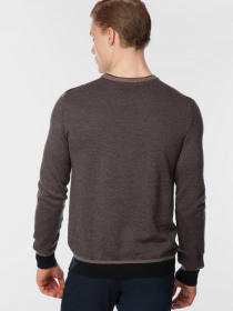 Джемпер Arber модель AO10.34.30 Фото