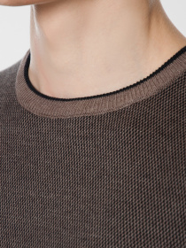 Джемпер Arber модель AO10.34.30 Фото