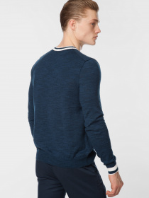 Джемпер Arber модель M10.10.09.212 Фото