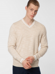 Джемпер Arber модель M10.17.16.211 Фото