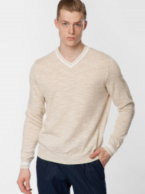 Джемпер Arber модель M10.17.16.211 Фото