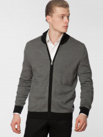 Кофта спортивная Arber модель AO10.51.30 Фото