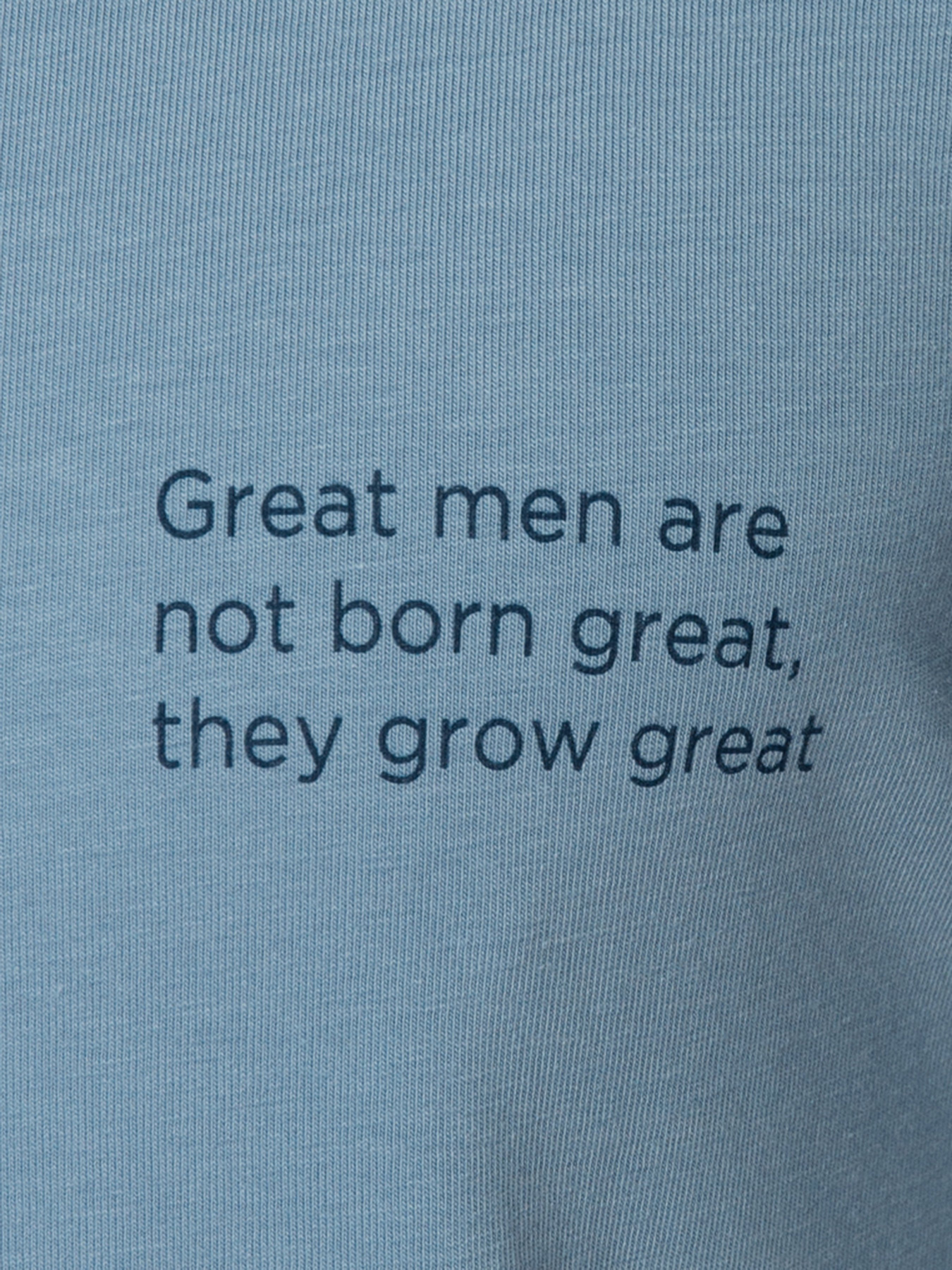 Футболка Arber модель M13.14.23.222 Фото