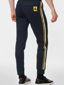 Спортивні штани Arber модель F26.01.09.211 Фото