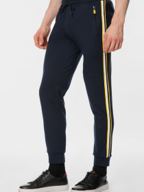 Спортивні штани Arber модель F26.01.09.211 Фото