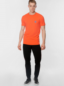 Штаны спортивные Arber модель F26.02.02.211 Фото