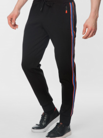 Спортивні штани Arber модель F26.02.02.211 Фото