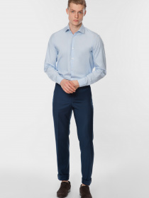 Класичні штани Arber модель M01.19.09.211 Класичні штани Arber модель M01.19.09.211 Фото