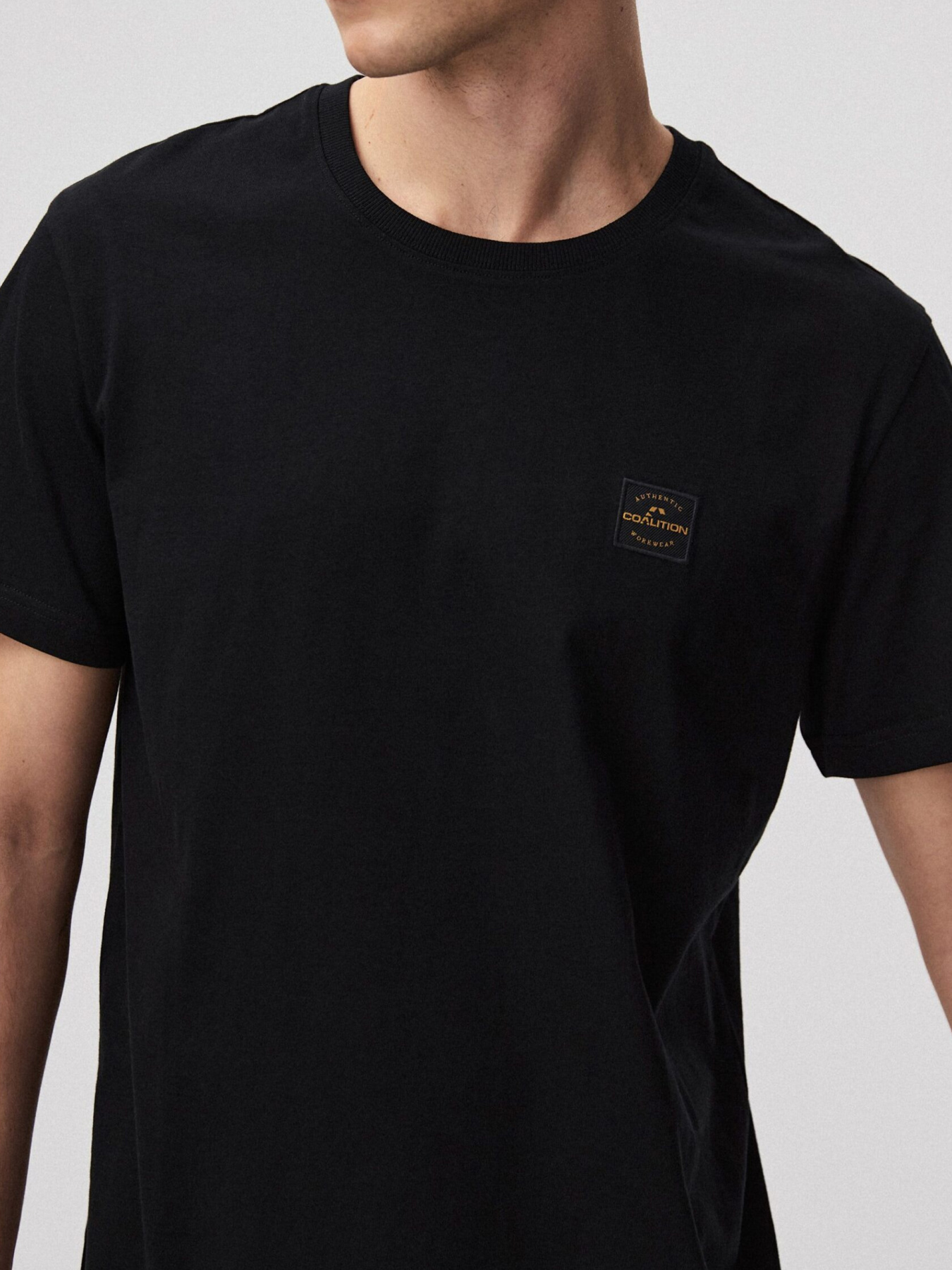 Футболка DIVERSE Cltn T 256 модель 10048093 Футболка DIVERSE Cltn T 256 модель 10048093 Фото