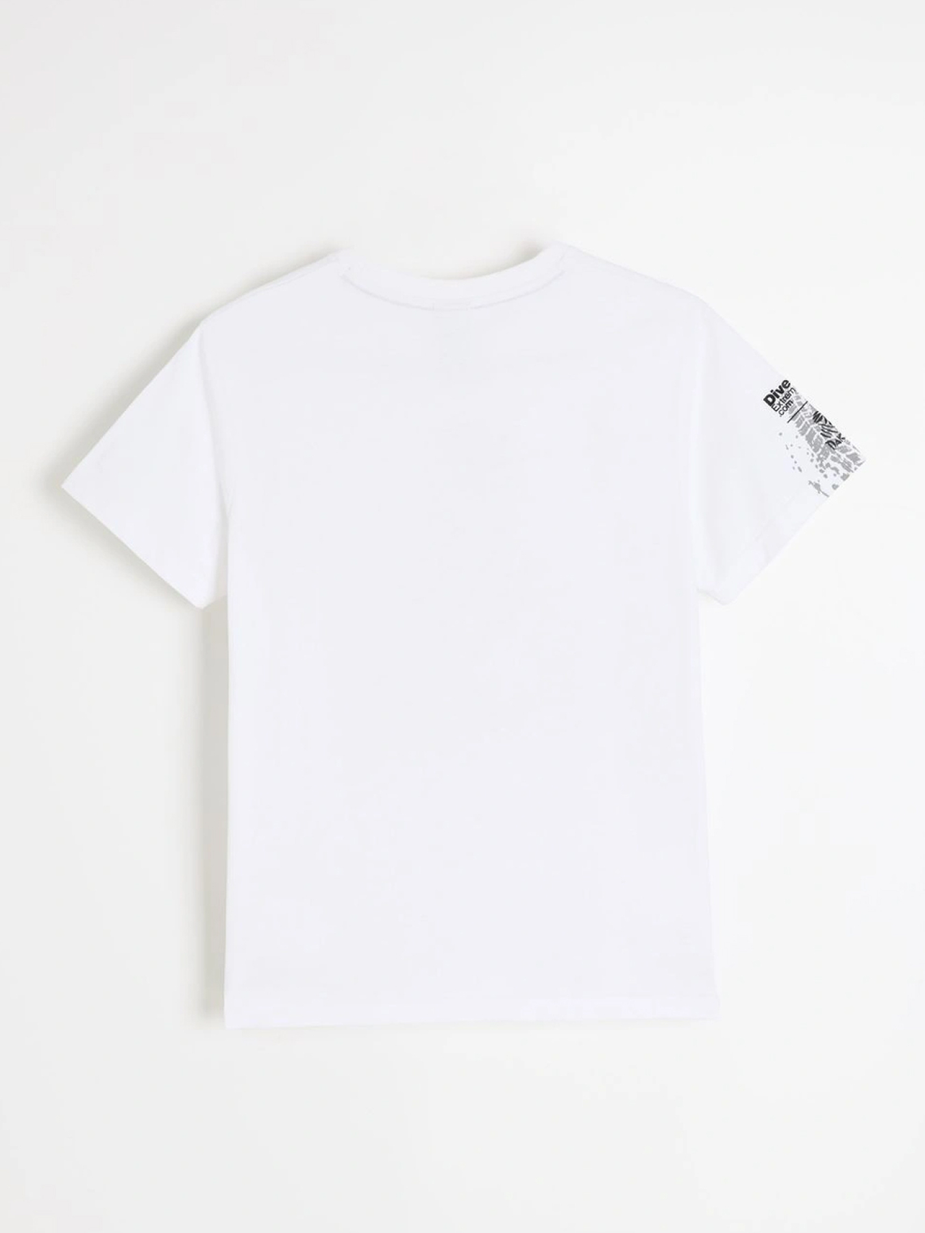 Футболка DIVERSE Dkr Des 1725 модель 10048101 Фото