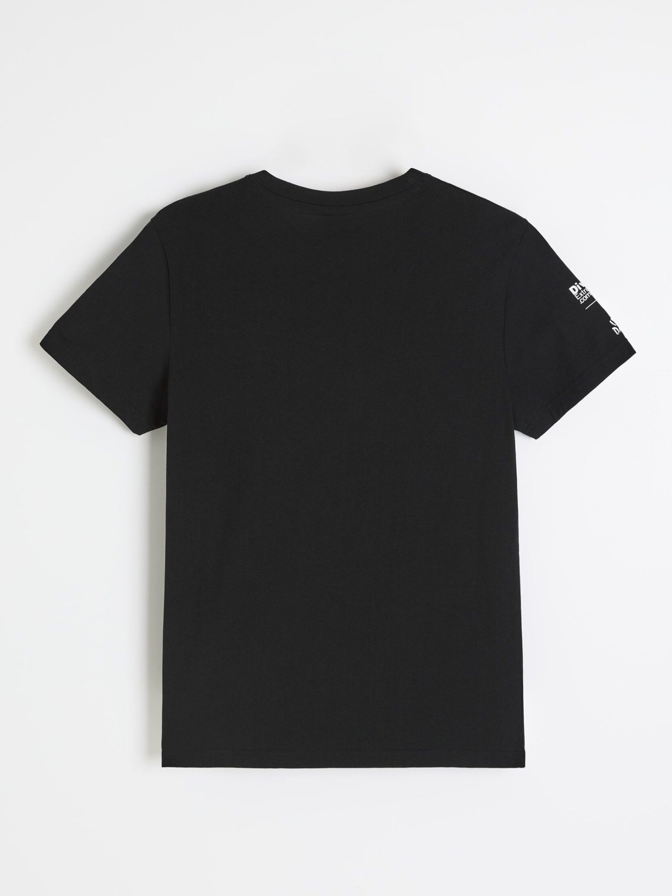 Футболка DIVERSE Dkr Logo 256 модель 10048104 Фото
