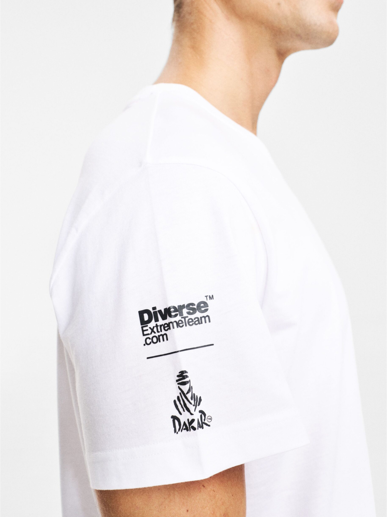 Футболка DIVERSE Dkr Logo Sm 256 модель 10048107 Фото