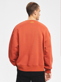 Світшот DIVERSE Dkr Dust C модель 10048145 Світшот DIVERSE Dkr Dust C модель 10048145 Фото