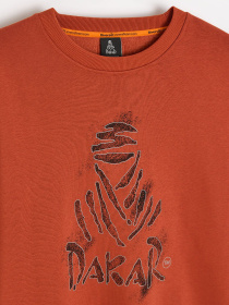 Світшот DIVERSE Dkr Dust C модель 10048145 Світшот DIVERSE Dkr Dust C модель 10048145 Фото