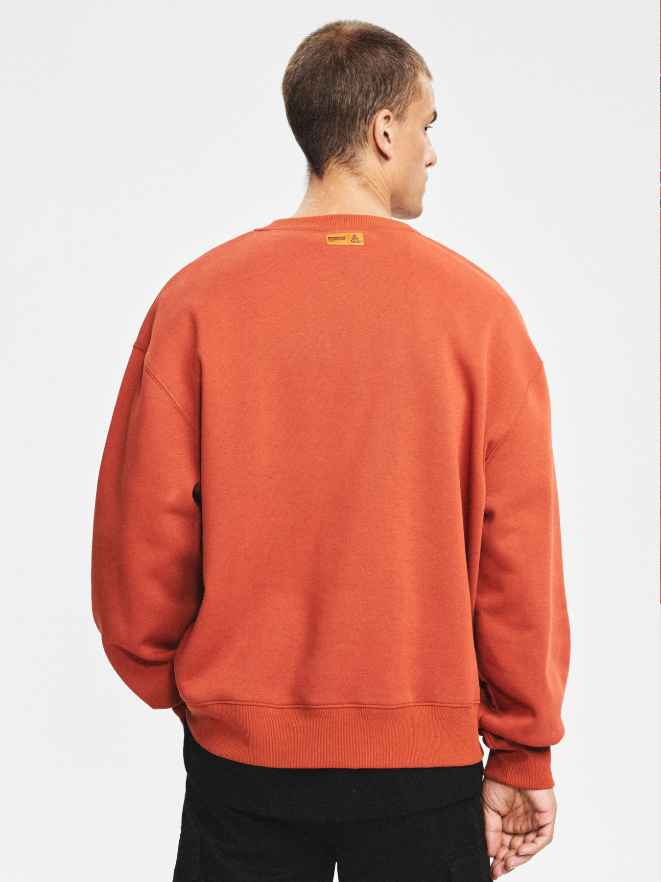 Світшот DIVERSE Dkr Dust C модель 10048145 Фото