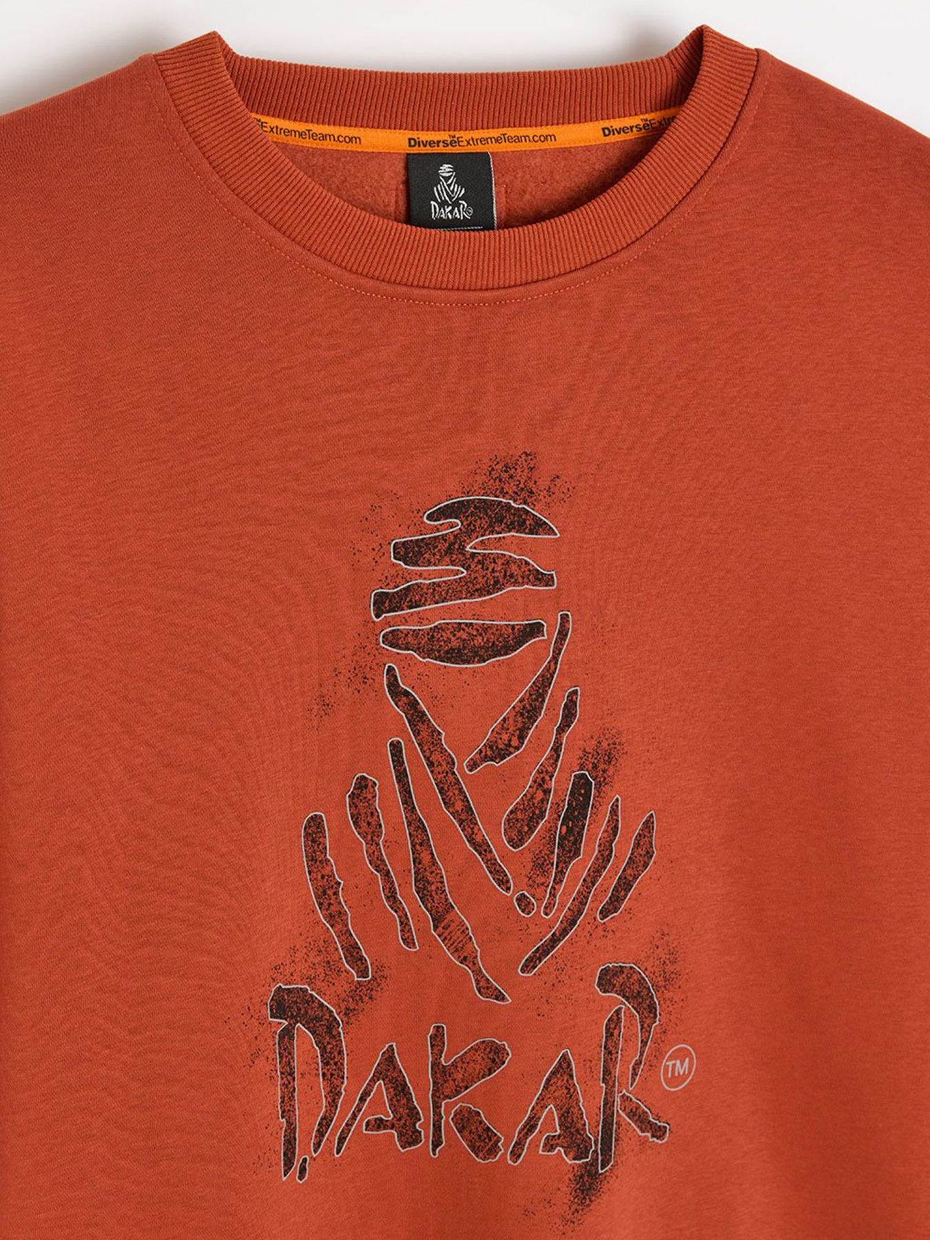 Світшот DIVERSE Dkr Dust C модель 10048145 Фото