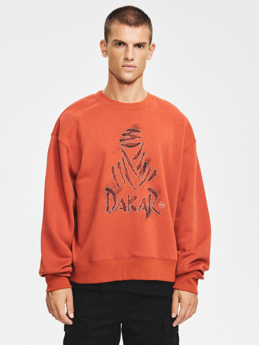 Світшот DIVERSE Dkr Dust C модель 10048145 Фото