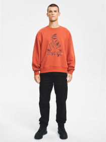 Світшот DIVERSE Dkr Dust C модель 10048145 Фото